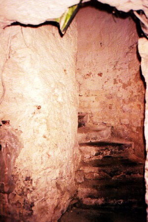 Schody do sklepa, 2004